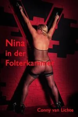 Conny van Lichte Nina in der Folterkammer обложка книги