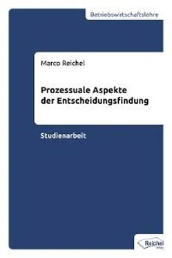 Marco Reichel Prozessuale Aspekte der Entscheidungsfindung обложка книги