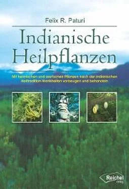 Felix R. Paturi Indianische Heilpflanzen обложка книги