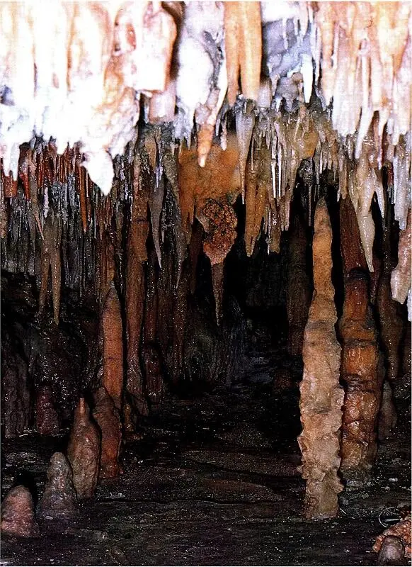 Reise in die untere Welt Beginnen wollen wir unsere schamanischen Gehversuche - фото 8