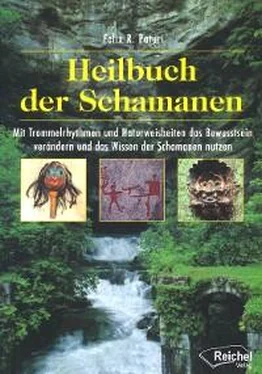 Felix R. Paturi Heilbuch der Schamanen обложка книги