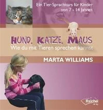 Marta Williams Hund, Katze, Maus - Wie du mit Tieren sprechen kannst обложка книги