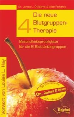 James L. D'Adamo Die neue 4-Blutgruppen-Therapie обложка книги