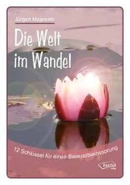 Jürgen Majewski Die Welt im Wandel обложка книги