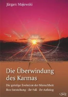 Jürgen Majewski Die Überwindung des Karmas обложка книги