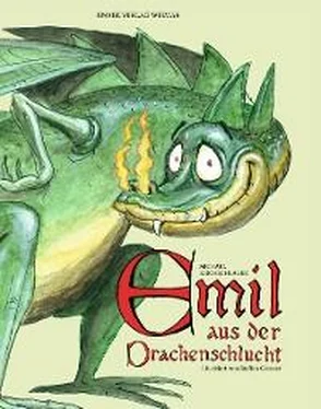Michael Kirchschlager Emil aus der Drachenschlucht обложка книги