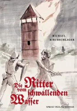 Michael Kirchschlager Die Ritter vom schwallenden Wasser обложка книги