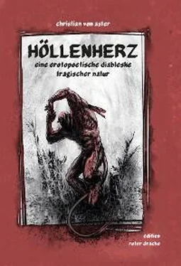 Christian von Aster Höllenherz обложка книги