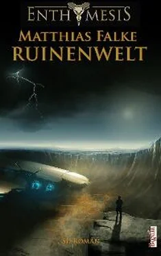 Matthias Falke Ruinenwelt обложка книги