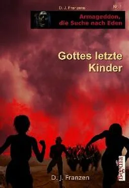 D. J. Franzen Gottes letzte Kinder обложка книги