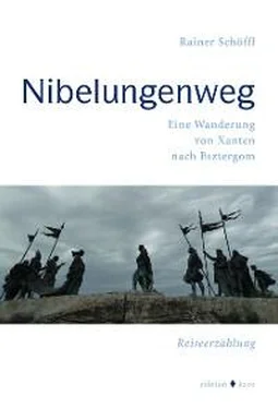 Rainer Schöffl Nibelungenweg обложка книги