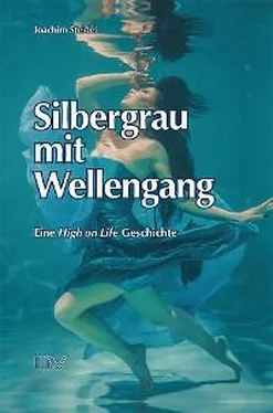 Andrea Reichart Silbergrau mit Wellengang обложка книги