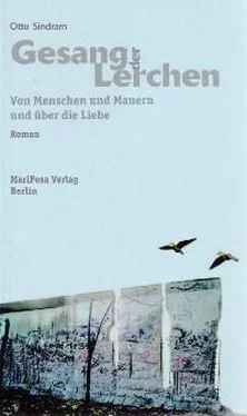 Otto Sindram Gesang der Lerchen обложка книги