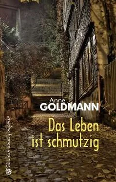 Anne Goldmann Das Leben ist schmutzig обложка книги
