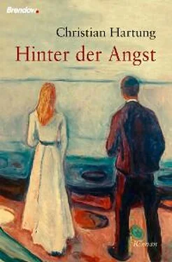 Christian Hartung Hinter der Angst обложка книги