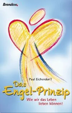 Paul Eichendorff Das Engel-Prinzip обложка книги