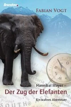 Fabian Vogt Hannibal Mayer - Der Zug der Elefanten обложка книги
