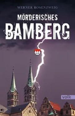 Werner Rosenzweig Mörderisches Bamberg обложка книги