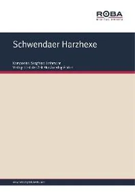 Siegfried Bethmann Schwendaer Harzhexe обложка книги