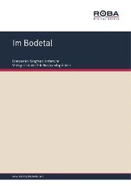 Siegfried Bethmann Im Bodetal обложка книги