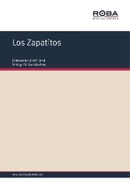 Erich Ferstl Los Zapatitos обложка книги