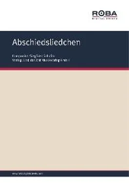 Werner W. Wallroth Abschiedsliedchen обложка книги