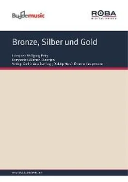 Norbert Zucker Bronze, Silber und Gold обложка книги