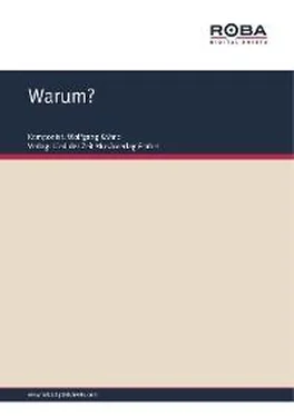 Wolfgang Kähne Warum? обложка книги