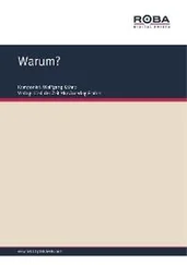 Wolfgang Kähne - Warum?