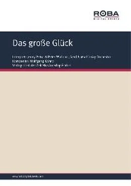 Wolfgang Kähne Das große Glück обложка книги