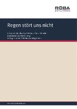 Gerhard Honig Regen stört uns nicht обложка книги