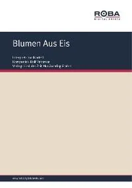 Ingeburg Branoner Blumen Aus Eis обложка книги