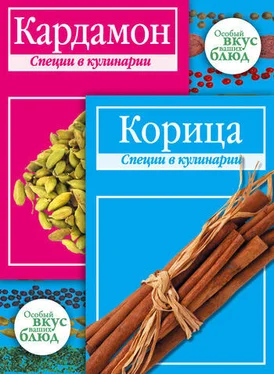 В. Кугаевский Кардамон. Корица: Специи в кулинарии обложка книги