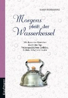 Karin Hermanns Morgens pfeift der Wasserkessel обложка книги
