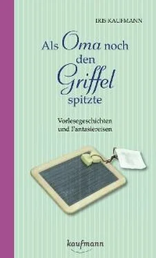 Iris Kaufmann Als Oma noch den Griffel spitzte. Für Menschen mit Demenz обложка книги