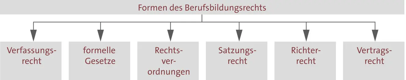 Beispiele Verfassungsrecht insbesondere Grundrechte formelle Gesetze - фото 3
