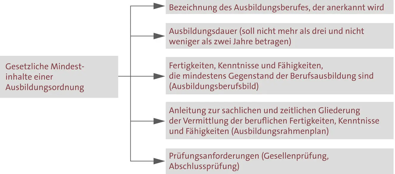 Jeder Ausbildende und Ausbilder muss sich die Ausbildungsordnung für den - фото 17