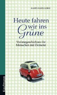 Karin Hermanns Heute fahren wir ins Grüne обложка книги