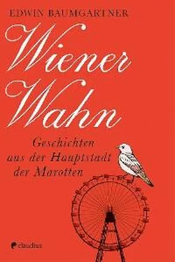 Edwin Baumgartner Wiener Wahn обложка книги