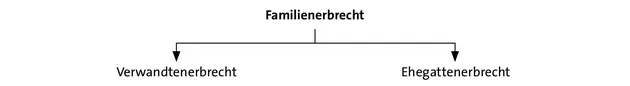 Hat der Erblasser zum Zeitpunkt seines Todes keine Verwandten keinen Ehegatten - фото 4