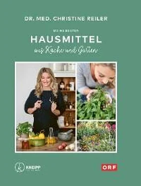 Christine Reiler Meine besten Hausmittel обложка книги