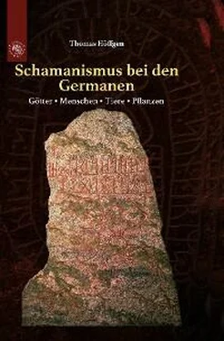 Thomas Höffgen Schamanismus bei den Germanen обложка книги