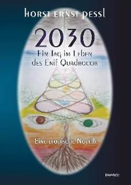 Horst Ernst Pessl 2030 – Ein Tag im Leben des Enif Quadrocor обложка книги