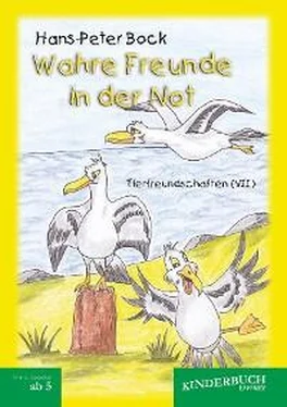 Hans-Peter Bock Wahre Freunde in der Not (Tierfreundschaften) - Band VII обложка книги