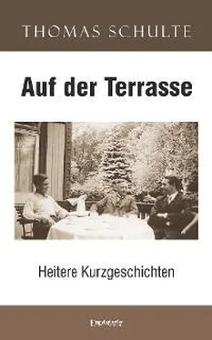 Thomas Schulte Auf der Terrasse обложка книги
