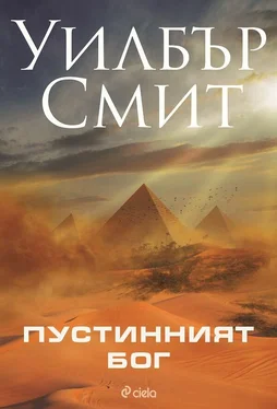 Уилбър Смит Пустинният бог обложка книги