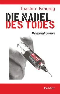 Joachim Bräunig Die Nadel des Todes обложка книги