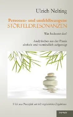 Ulrich Nelting Personen- und umfeldbezogene Störfeldresonanzen обложка книги