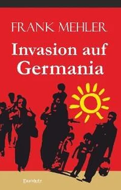 Frank Mehler Invasion auf Germania обложка книги