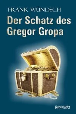 Frank Wündsch Der Schatz des Gregor Gropa обложка книги